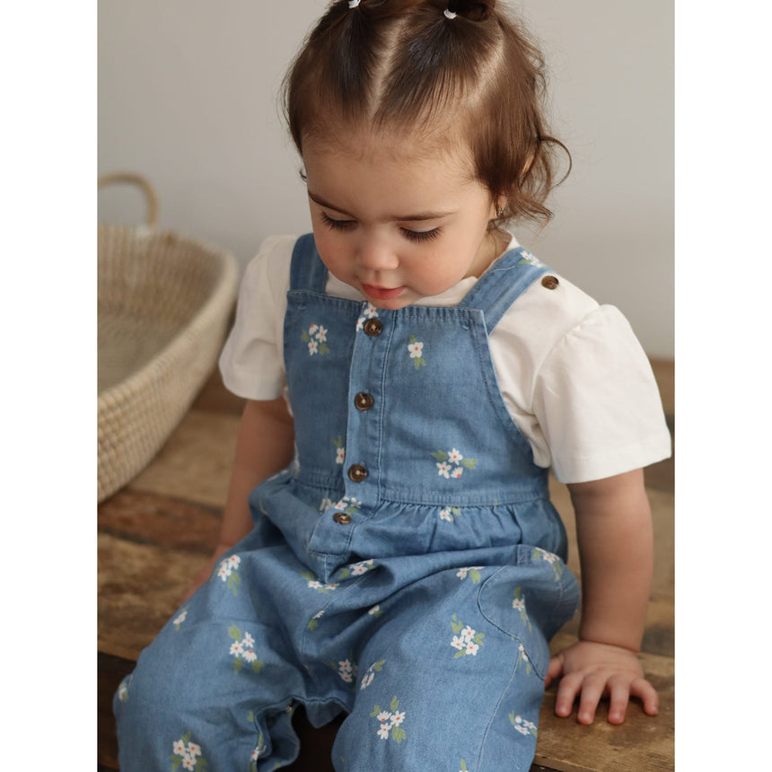 Picnic Chambray Overalls 3-24m