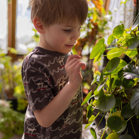 T-shirt Surf Chien 2-8ans-Chat Botte-CHI-1265454C-CHA-CLÉMENT