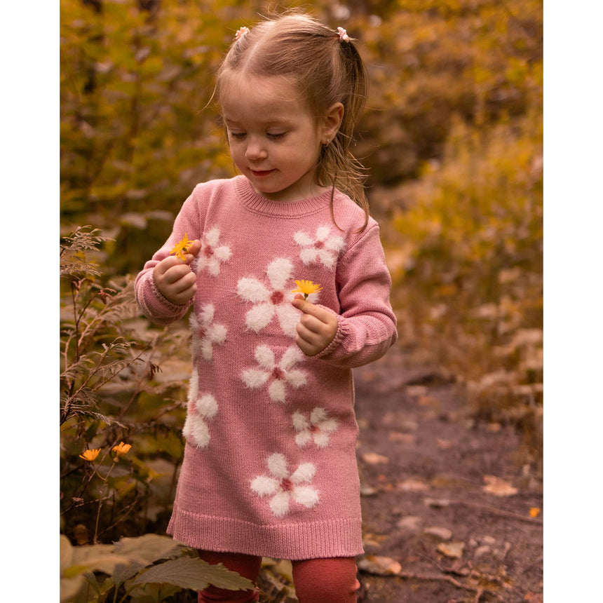 Cat Poetry Knit Dress 3-24m