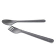 CIK-SPOONFORKOCE_A.JPG