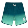 Maillot Short Dégradé 4-12ans-Color Kids-Sarcelle-4-CLO-720401-9917-CLÉMENT