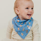 Bandana Bibs Set (6)- Classic Winnie the pooh