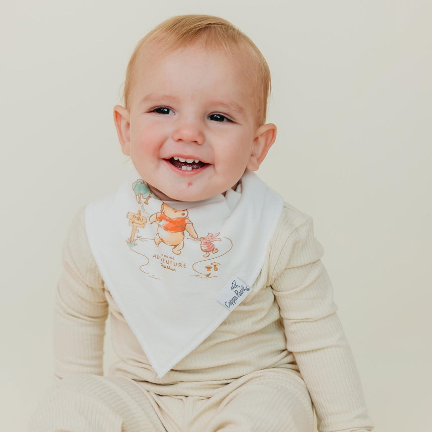 Bandana Bibs Set (6)- Classic Winnie the pooh