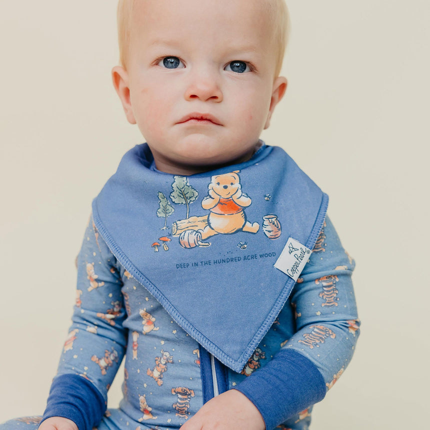 Bandana Bibs Set (6)- Classic Winnie the pooh