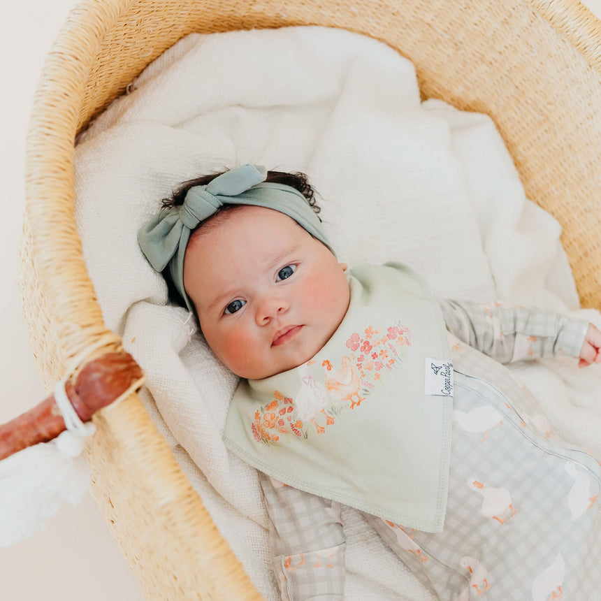 Bandana Bibs Set (4)-gigi