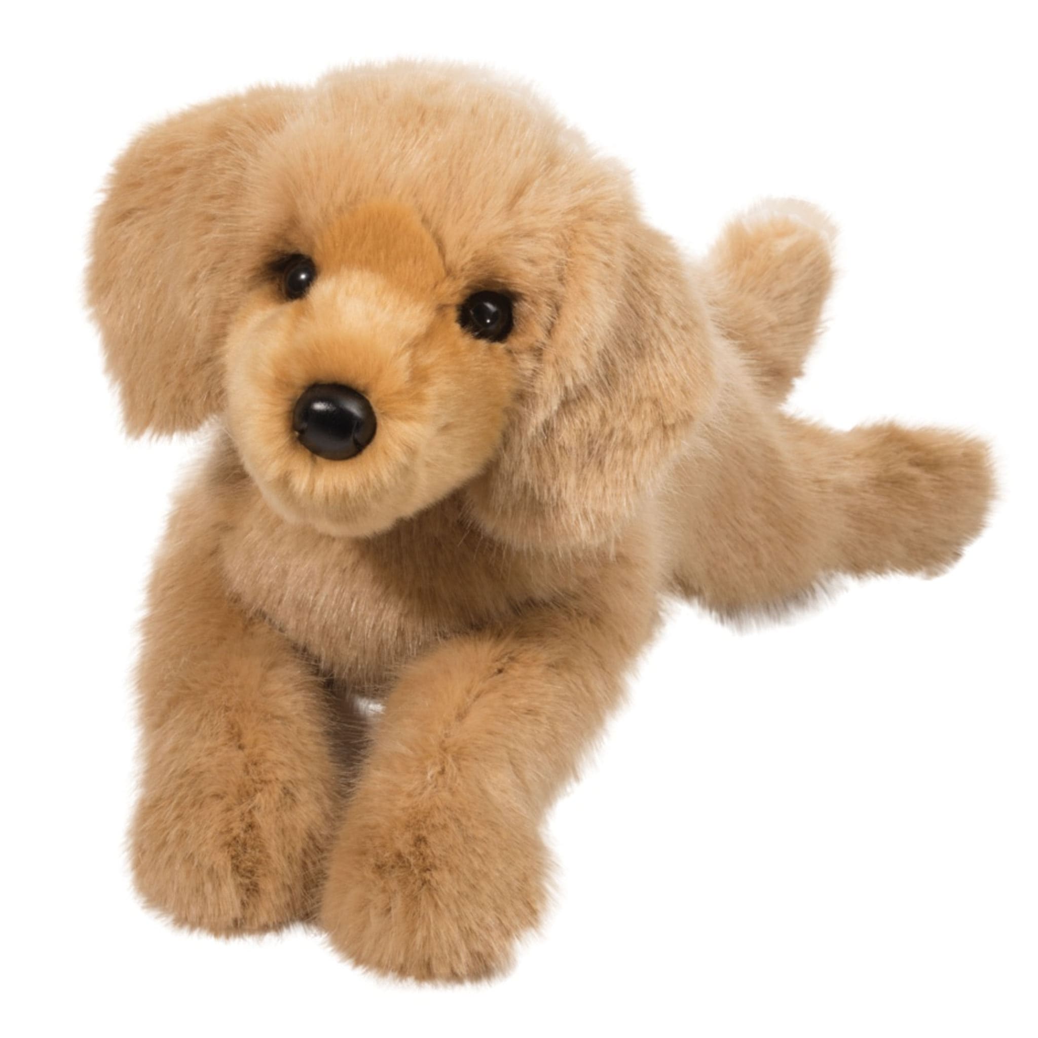 Chien Golden Retriever - Oakley - Clement - Equipement – CLÉMENT