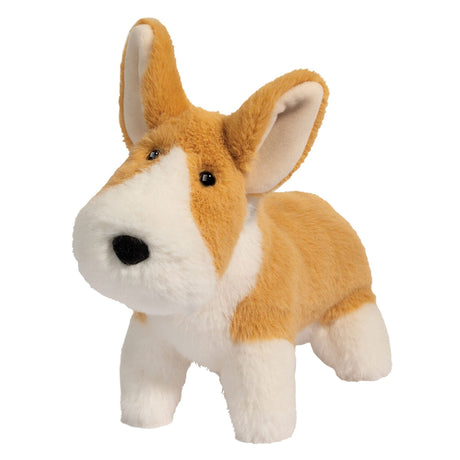 Muzzle Chien Corgi Carl-Douglas-DCT-7002-CLÉMENT