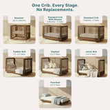 Couchette Convertible 8-en-1 Spirit - Noyer-Dadada Baby-DDD-16008-CLÉMENT