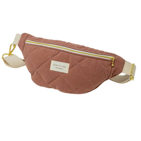 DLS-BELT-PRAL_A.JPG