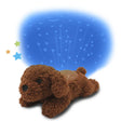 DOO-7472-PD_A.JPG