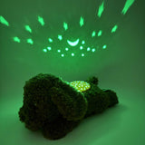DOO-7472-PD_C.JPG