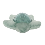 Étoile Projecteur et Bluetooth - Verte-Cloud B-DOO-9300-GR-CLÉMENT