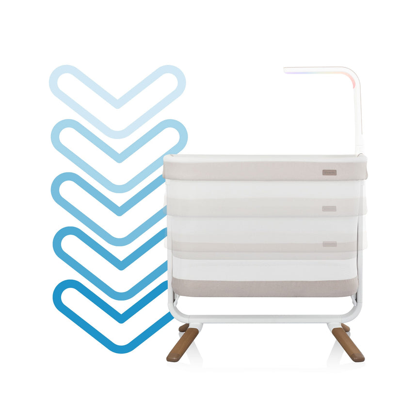 Bassinette Cora Ajustable- Café-Evenflo-EVO-BA100212516-CLÉMENT