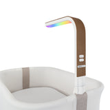 Bassinette Cora Ajustable- Café-Evenflo-EVO-BA100212516-CLÉMENT