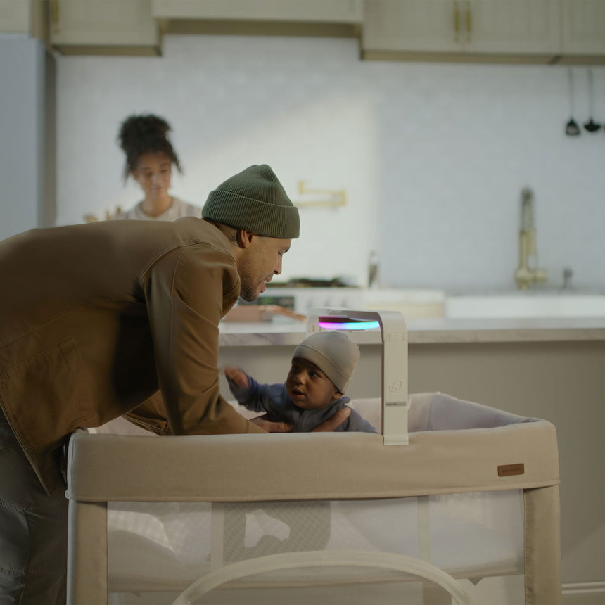 Parc Eris - Café-Evenflo-EVO-PY200112516-CLÉMENT