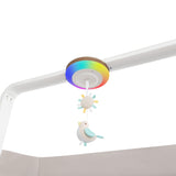 Parc Eris - Café-Evenflo-EVO-PY200112516-CLÉMENT