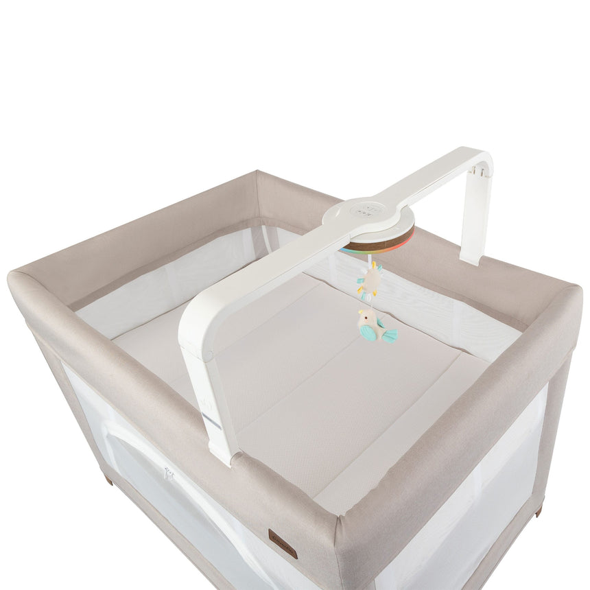 Parc Eris - Café-Evenflo-EVO-PY200112516-CLÉMENT