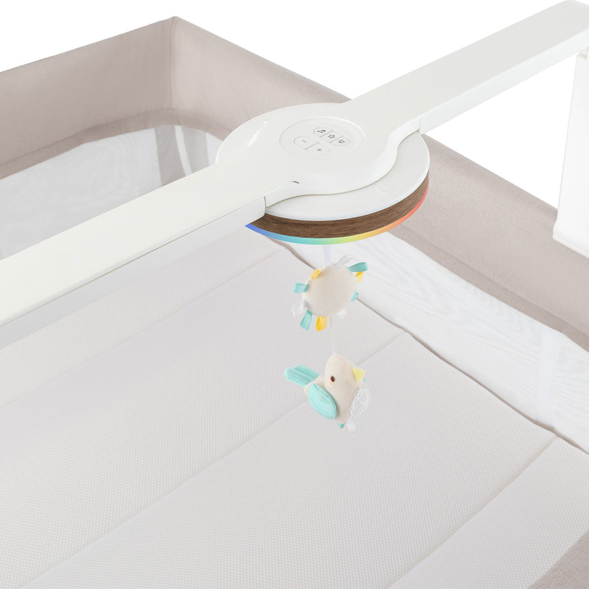 Parc Eris - Café-Evenflo-EVO-PY200112516-CLÉMENT