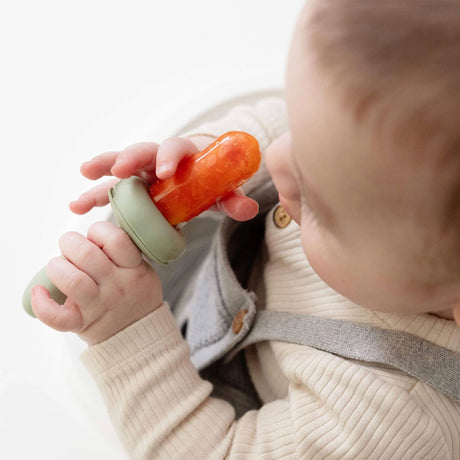 Tétine Alimentaire - Sauge-EZ PZ Fun-EZP-BLWGFR001-CLÉMENT