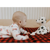 FIT-25FGL31P01_IVO_D.JPG