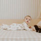 FIT-25FGL33P01_IVO_C.JPG