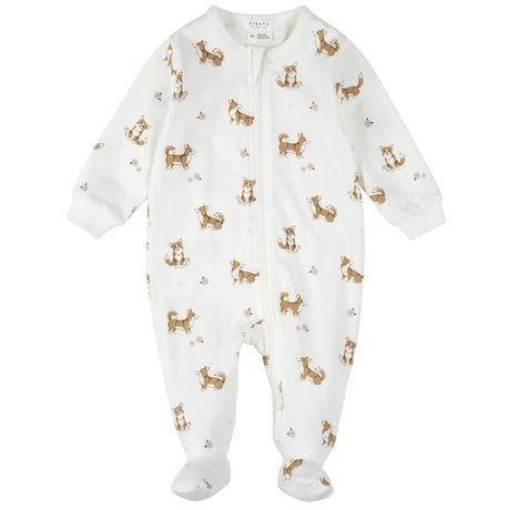 FIT-25FGL34P01_IVO_A.JPG
