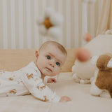 FIT-25FGL34P01_IVO_C.JPG