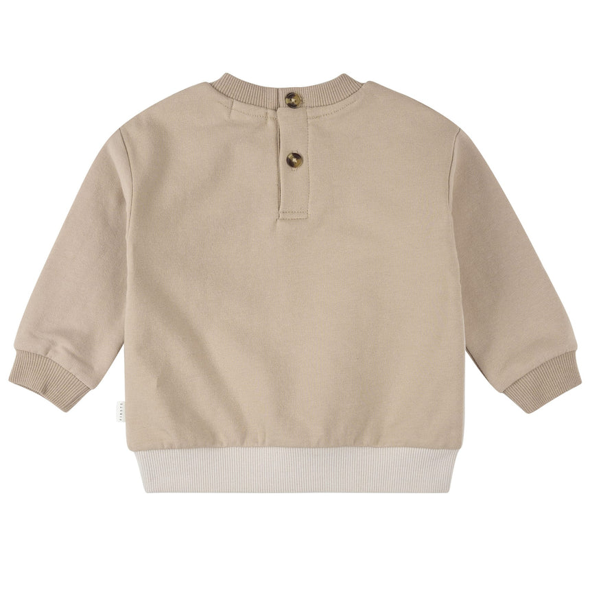 FIT-25FGW33E01_TAU_C.JPG