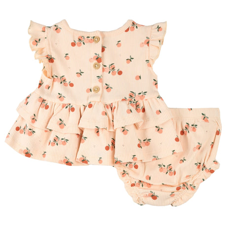 FIT-25SGW36E01B_COR_B_5.JPG