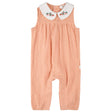 FIT-25SGW36N01B_COR_A_5.JPG