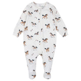 FIT-26FGL31P03_IVO_A.JPG