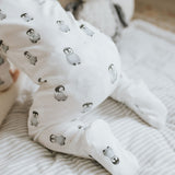 FIT-26FGL38P18_IVO_C.JPG