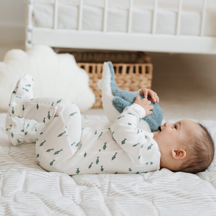 Pyjama Côtelé Requins 0-12mois-Firsts par Petit Lem-FIT-26SGL37P01-CLÉMENT