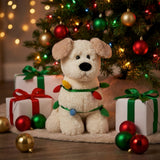 GAZ-HX11998_B.JPG