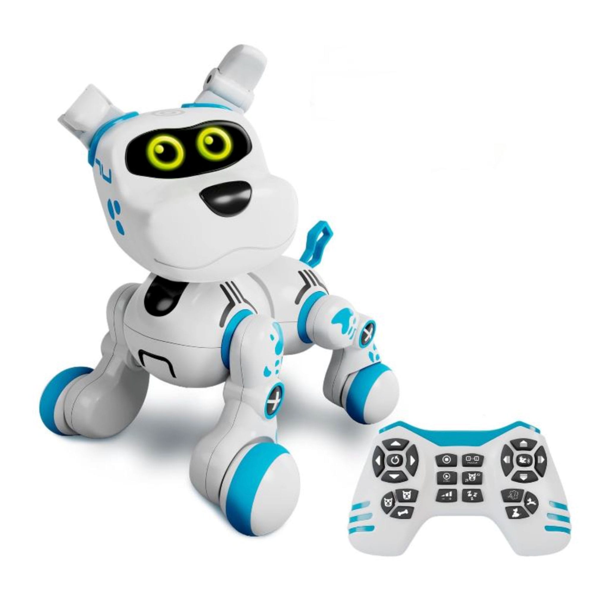 Robot Chien Bobby - Groupe Ricochet – CLÉMENT
