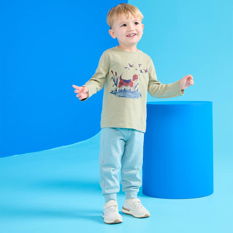 HAT-F25SAT1626_SAU_B.JPG