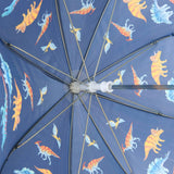 HAT-F26CDK021_MAR_F.JPG