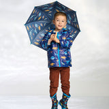 HAT-F26CDK818_MAR_H.JPG