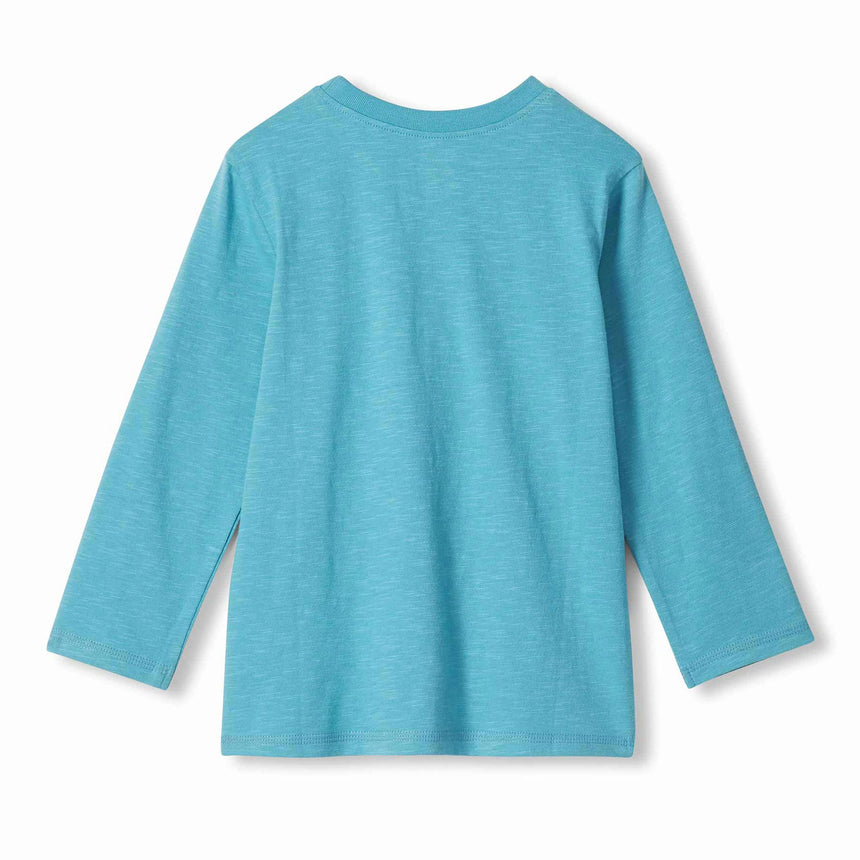 T-shirt Orignal 3-8ans-Hatley-HAT-F26DBK1465-CLÉMENT