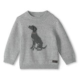 Pull Tricot Chien 3-24mois-Hatley-Gris-3-6 m-HAT-F26GMT1497-CLÉMENT