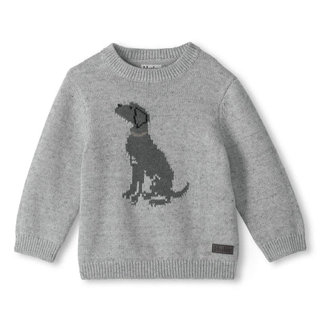 Pull Tricot Chien 3-24mois-Hatley-Gris-3-6 m-HAT-F26GMT1497-CLÉMENT