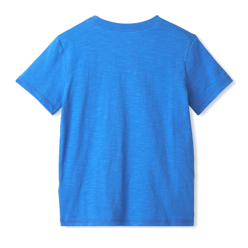 HAT-S25CAK1194_ROY_B_6.JPG