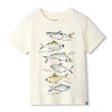 T-shirt Poisson 3-8ans-Hatley-Ivoire-3-HAT-S26SOK1194-CLÉMENT