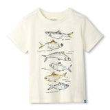 T-shirt Poisson 3-8ans-Hatley-Ivoire-3-HAT-S26SOK1194-CLÉMENT