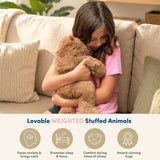 Cam Le Capybara 2kg-Hugimals-HUG-HUG103CA-P-CLÉMENT