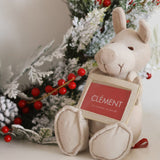 Porte-Carte Kangourou Fondation Sainte-Justine - Cachou