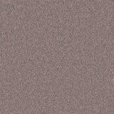 JAM-526-ARLO-96_F.JPG
