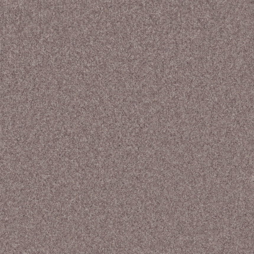 JAM-526-ARLO-96_F.JPG