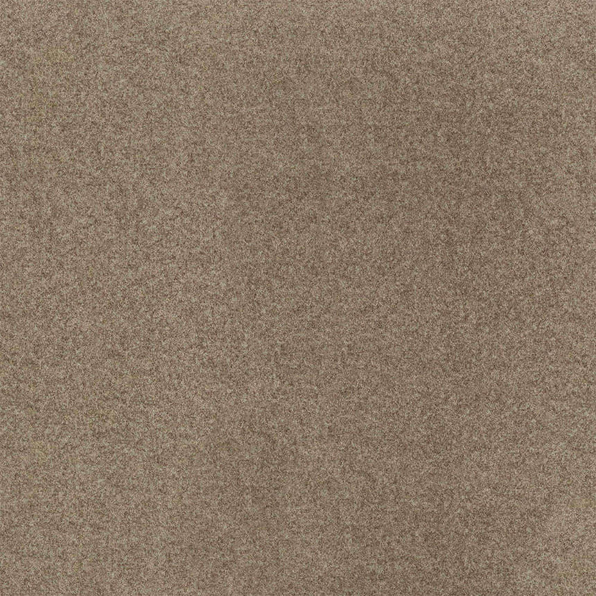 JAM-527-ARLO-96_F.JPG