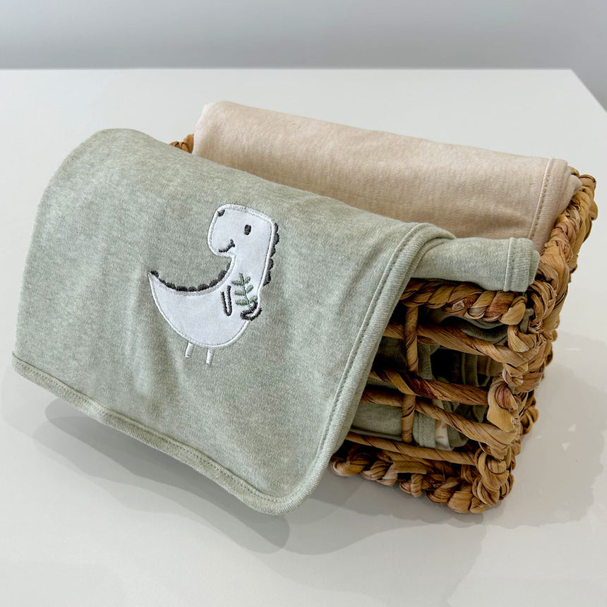 Couverture Dinos Sauge-Jasxtek-JAS-39250-CLÉMENT